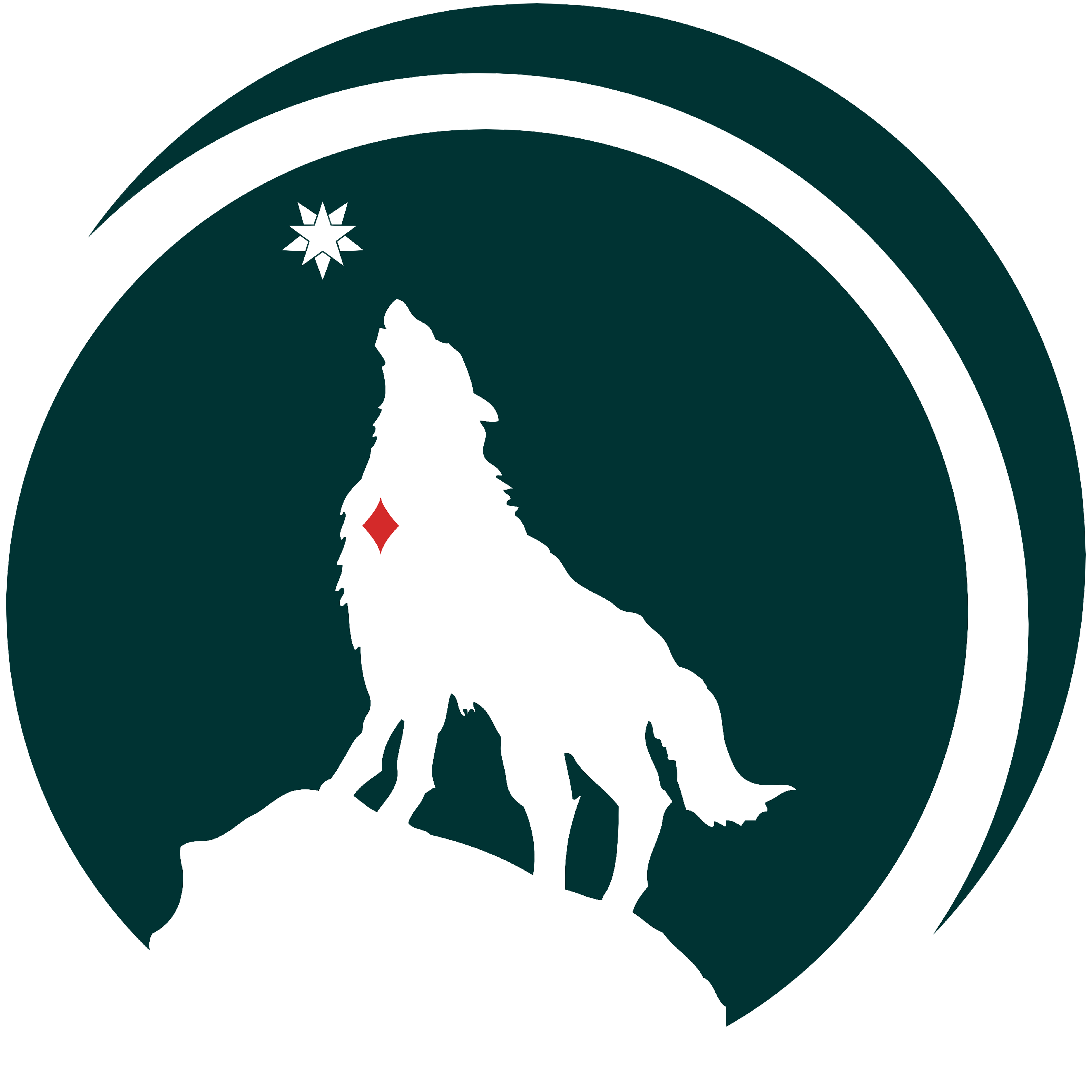 DiamondWorks logo
